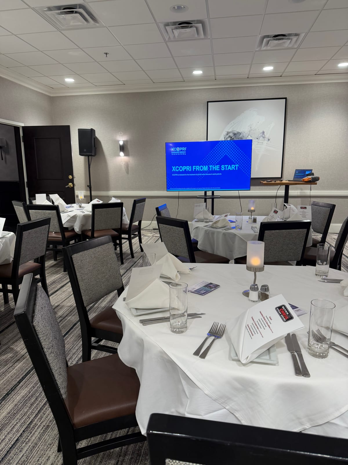 Healthcare lunch meeting at Ruth's Chris Steak House, Nashville, TN, with AV by Nashville Visual, photo 1